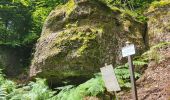 Randonnée Marche Belverne - Belverne - grotte des prisonniers allemands - Etobon - Photo 6