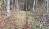 Percorso A piedi Bad Mergentheim - Wanderweg 14 - Photo 2