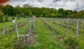 Excursión Senderismo Coubron - Coteaux de l'Aulnoye - Photo 1