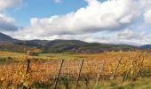 Randonnée Marche Epfig - entre forêt vigne et prairie  - Photo 1