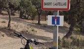 Percorso Bicicletta elettrica Hyères - piste du viet retour par gambet et chamadou - Photo 1