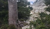 Trail Walking Lans-en-Vercors - Lans en vercors Moucherote St Michel - Photo 2