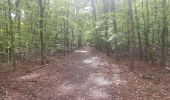 Randonnée Marche nordique Petit-Couronne - course en forêt du rouvray - Photo 1