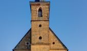 Percorso A piedi Litzendorf - Rundweg von Schammelsdorf zum Gügel - Photo 8