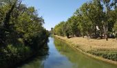 Trail Walking Vias - Canal du Midi Vias Agde - Photo 7