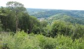 Trail Walking Vresse-sur-Semois - Membre _ Marche privée  - Photo 5