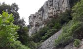 Tour Wandern Ceyreste - Ceyreste, cabane du marquis, vallon des conquêtes. - Photo 10