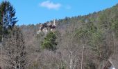 Percorso Marcia Obersteinbach - Obersteinbach - châteaux du Petit Arnsberg, du Wasigenstein et du Blumenstein - Photo 3
