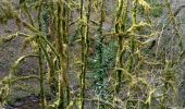 Tour Wandern Rocamadour - Rocamadour  - Photo 6