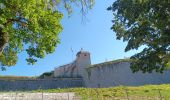 Randonnée Marche Besançon - Besançon : le Doubs, le centre, la citadelle  - Photo 6