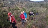 Excursión Senderismo Roquebrune-sur-Argens - La haute Cavalière - Photo 3