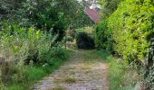 Trail Walking Lasne - autour d'Ohain... - Photo 12
