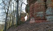 Trail Walking Roppeviller - altschlossfelsen - Photo 2