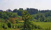 Excursión Senderismo Braives - De Fumal à Huccorgne par la vallée de la Mehaigne - Photo 15