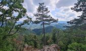 Trail Walking Rombach-le-Franc - Col de Schlingoutte - Photo 15