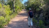 Randonnée Marche Darnius - Mirador del sentinella  - Photo 10