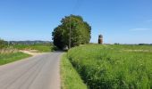 Randonnée Vélo électrique Renaix - Ellezelles 17Km - Photo 5