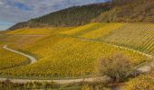 Tour Zu Fuß Rödelsee - Traumrunde Schwanberg - Photo 6