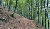 Tocht Stappen Urrotz - Circuit jaune lac de Leurtza - Photo 2