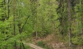 Trail Walking Niedersteinbach - Froensbourg - Photo 4