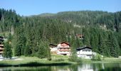 Tour Zu Fuß Altenmarkt im Pongau - Wanderweg 83 - Photo 7