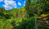 Randonnée Marche Bièvre - Promenade de la Roche Mouselle - Petit-Fays - Photo 13