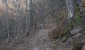 Trail Walking Niederbronn-les-Bains - Grand Wintersberg & plan d'eau Wolfartshoffen - Photo 2