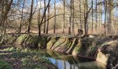 Tocht Stappen Hannuit - La promenade de la Mouhagne  - Photo 19