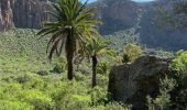 Randonnée Marche Santa Brígida - Cratère de Bandama (Gran Canaria) - Photo 17