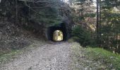 Trail Walking Trévignin - la boucle du Mont Revard par le golet de la pierre et la crémaillère  - Photo 3