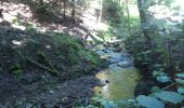Tour Wandern Wegscheid - Sattelboden - Photo 9