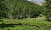 Excursión Senderismo Allos - Lac des grenouilles  - Photo 2