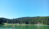 Percorso A piedi Apremont - Le Lac Genin - Photo 1