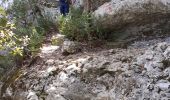 Randonnée Marche Mazaugues - Saut du Cabri gorges du Carami - Photo 12