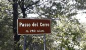 Trail On foot Rivergaro - Rivergaro - Monte Dinavolo - Passo del Cerro - Passo della Cappelletta - Ciregna - Passo del Mercatello - Passo Crociglia - Prato della Cipolla - Passo Zovallo - Photo 7