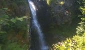 Tocht Trail Albepierre-Bredons - Une partie des crêtes vers le Plomb du Cantal  - Photo 1