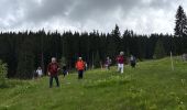 Trail Walking Feldberg - Neuglashütten -Feldberg - Photo 20