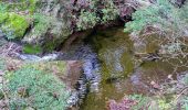 Percorso Marcia Bormes-les-Mimosas - SityTrail - 3043274 - bargeanxchartreuse-verne - Photo 2