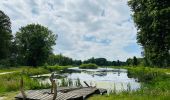 Randonnée Marche Hamont-Achel - La vallée du Warmbeek : le domaine « de Bever » à Hamont-Achel - Photo 1