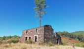 Tour Wandern Les Vans - GRP Le Cévenol Brahic-Génolhac 32km  - Photo 1