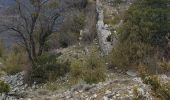 Tour Wandern Barrême - barrême  chateau  plus haut  chaudon 19.5km 860m - Photo 2