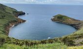 Tocht Stappen Horta (Angústias) - Horta, Faial: Monte Queimado et Monte da Guia (PRC 08 FAI) - Photo 14