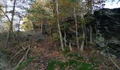 Excursión Senderismo La Roche-en-Ardenne - La roche dans tous les sens - Photo 4