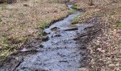 Trail Walking Stoumont - chevron Promenade des fontaines  - Photo 1