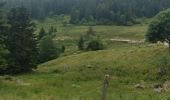 Tocht Stappen Orbey - randonnée des 3 lacs, lac noir , lac blanc et lac du former ( lac des truites) Vosges  - Photo 8