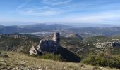 Trail Walking Plan-d'Aups-Sainte-Baume - plan d'aups ste baume - Photo 5