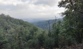 Trail Walking Steinbach - Cascade de Erzenbach - Photo 4