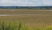 Randonnée Marche Tarquimpol - LINDRE BASSE - AUTOUR DES ETANGS DE DIEUZE - Photo 14