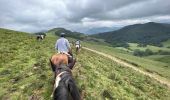 Trail Horseback riding Baztan - Elizondo - Urdax - Photo 19
