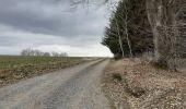 Randonnée A pied Libramont-Chevigny - Promenade à Remagne et ND de Lorette Non balisée - Photo 3